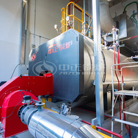 Caldera de Vapor de Gas Natural Totalmente Automática de 4 T/h para Impresión y Teñido