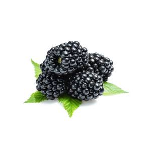 Extracto de Fruta de Mora Silvestre en Polvo, Alta en Antioxidantes, para Suplementos Alimenticios, Suministro a Granel, Fabricante OEM, Tailandia, Grado A - Product Image 3