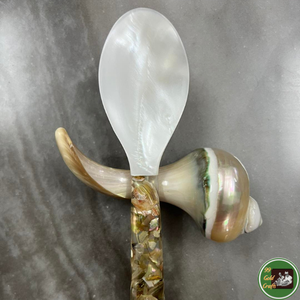 Handmade Decoration Seashell Natural Shell Material For Interior Decoration And Custom <b>Craft</b> <b>Supply</b> Vietnam - Product Image 4