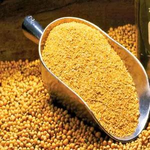 Bán buôn cám lúa mì Nhà cung cấp rơm lúa mì cám lúa mì cho thức ăn chăn nuôi giá thấp
