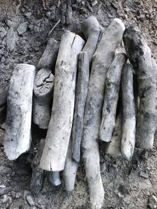 ลิ้นจี่ยูคาลิปตัสสีชาร์โคลเผาไหม้นานสีขาวพรีเมี่ยมจากเวียดนาม - Product Image 4