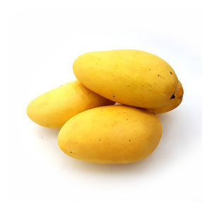 Mango fresco de primera calidad ofrecido a precio de fábrica para distribuidores - Product Image 3