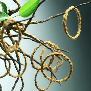 TOP VENTES BASE DE CORDE DE NOIX DE COCO FOURNITURE EN GROS PRODUIT D'EXPORTATION DE FIBRE NATURELLE DE QUALITÉ SUPÉRIEURE PRIX D'AFFAIRE CHAUDE - Product Image 1