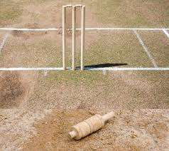 Bickets portatifs de ressort de cricket en bois avec le guichet en bois fait sur commande de haute qualité internationale standard - Product Image 5