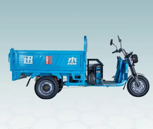 Triciclo Motorizado de Gasolina Industrial OEM Más Vendido, Rickshaw/Bajaj/Auto Taxi, Triciclos de Pasajeros Tuk - Product Image 3