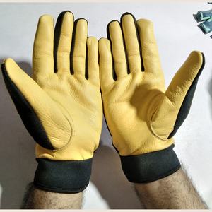 Gants en cuir de mouton véritable de meilleure qualité Gants de travail d'hiver doux pour le cyclisme Sports de plein air-Wholesale Custom Pakistan - Product Image 2