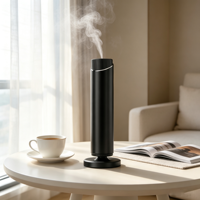 Diffuseur d'arômes silencieux et respectueux du sommeil, machine à parfum d'hôtel personnalisée en gros, moins de 30 dB, 100 ml