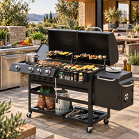 Barbecue d'extérieur pour camping, restauration commerciale, jardin, gaz et charbon combinés, double combustible, avec chariot