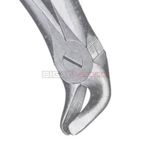 คีมถอนฟันขนาดต่างๆ11ขนาดขายส่ง - Product Image 4