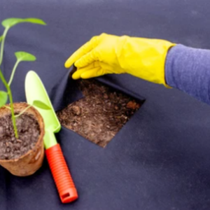 <span class=keywords><strong>Film</strong></span> agricole non tissé écologique résistant aux UV (100% acrylique) protège les cultures et les aliments des intempéries et des tempêtes - Product Image 5