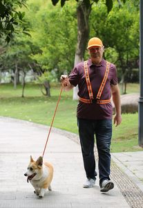 เสื้อกั๊กสำหรับผู้ใหญ่ที่มีน้ำหนักเบาปรับได้ความกว้าง4ซม. มีสายรัดสะท้อนแสงเสื้อกั๊กนิรภัยสำหรับจ๊อกกิ้งกลางแจ้ง - Product Image 5