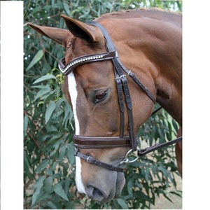 Brida de Cuero de Caballo de Alta Calidad al por Mayor, Diseño de Brida Profesional - Product Image 1