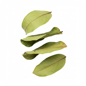 Hojas de Guanábana puras y secadas al sol, seleccionadas a mano para la máxima frescura y rico aroma - Product Image 5