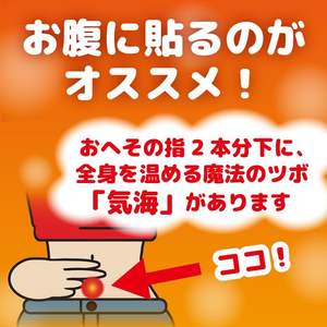 Parche caliente de hierbas japonesas al por mayor, terapia de calor para la salud de la mujer con extractos de ajenjo y jengibre, 8 piezas - Product Image 6