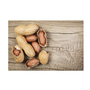 ถั่วลิสงดิบถั่วคั่วบดถั่วลิสงเค็มเมล็ดถั่วลิสงทอด - Product Image 5