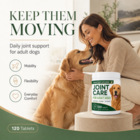 Comprimés pour la Flexibilité Articulaire Canine MSM & Acide Hyaluronique – Confort Quotidien pour la Santé des Chiens – Fabricant – Faible MOQ – OEM