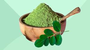 PUISSANCE DE MORINGA DE HAUTE QUALITÉ DU VIETNAM - Product Image 4