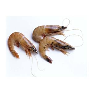 Camarones vannamei congelados a bajo precio, calidad premium, envasados a granel, listos para exportación. - Product Image 3