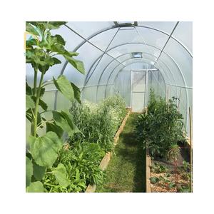 <span class=keywords><strong>Serre</strong></span> <span class=keywords><strong>de</strong></span> jardin en polycarbonate à double porte, résistante et tout temps, kit <span class=keywords><strong>de</strong></span> <span class=keywords><strong>serre</strong></span> <span class=keywords><strong>de</strong></span> jardin en polycarbonate - Product Image 4