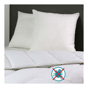 Coussin anti-acariens DODO 60 x 60 cm en polyester/coton à motif uni - Product Image 1