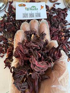 Flores de Hibisco Secas Egipcias Premium (Roselle), 100% Puro Color Rojo, Té Herbal, Secado al Aire Natural, Calidad de Exportación, 24 Meses - Product Image 4