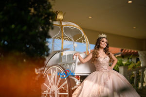 女王婚礼白色灰姑娘马车法国豪华灰姑娘推车电动婚礼南瓜童车 - Product Image 6