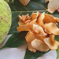 Gezonde Smakelijke Gedroogde Broodvruchten Knapperig Droog Broodfruit Van Topkwaliteit Gedehydrateerde Broodvruchten Gemaakt In Vietnam
