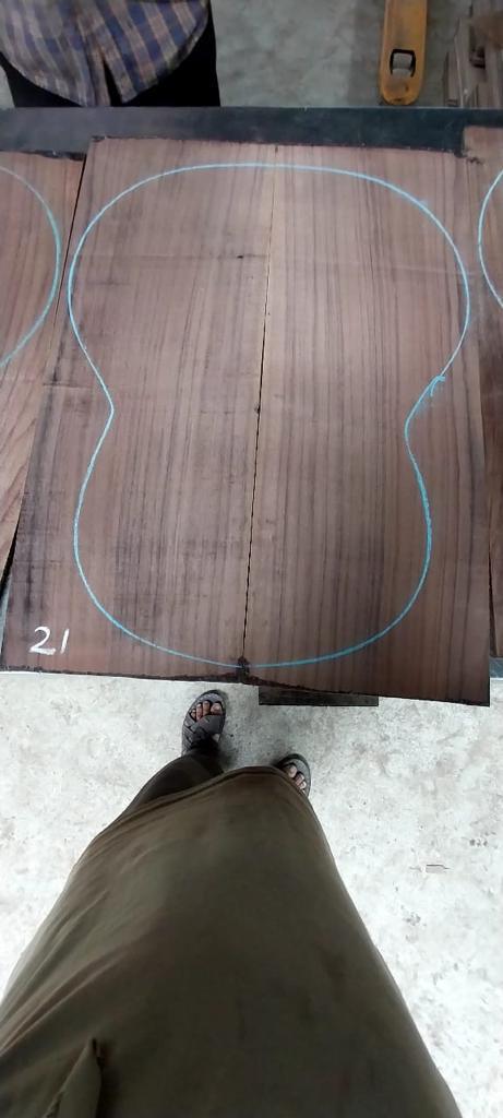 indian rosewood back and sides