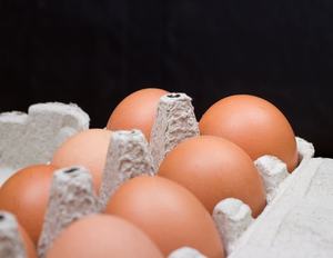 Huevos de gallina frescos de granja/huevos de gallina de mesa frescos a granel a la venta - Product Image 5