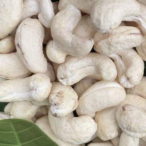 Gran oferta 2025 anacardos en lata W180 calidad comercial Santigo Vietnam fábrica Reday para enviar - Product Image 1