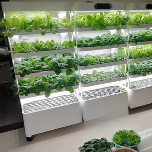 Armoire de culture hydroponique d'intérieur, système de culture de plantes intelligent à LED, <span class=keywords><strong>jardin</strong></span> vertical pour laitue, herbes, <span class=keywords><strong>salade</strong></span>, légumes, usage domestique - Product Image 6