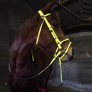 Bride de cheval élégante en cuir de qualité supérieure rembourrée et durable, réglable et élégante, pour le dressage, le saut occidental - Product Image 4