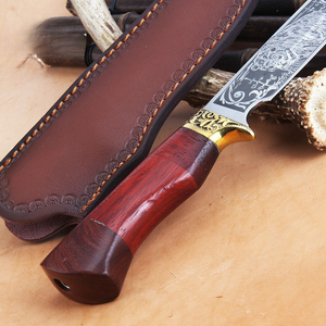 Último personalizado al por mayor OEM ODM apoyo práctico cuchillo de acero inoxidable al aire libre para Camping y caza venta directa de fábrica - Product Image 2