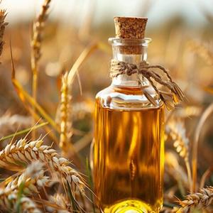 Huile de germe de blé biologique pure pressée à froid pour la peau et les cheveux, huile en vrac pour cosmétiques, aromathérapie, fournisseur en gros OEM, exportateur - Product Image 3