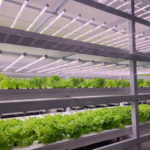 Tùy chỉnh quang phổ dẫn phát triển đèn cho thủy canh lá xanh hệ thống Rack ODM nhà máy giải pháp chiếu sáng cho các dự án nông nghiệp - Product Image 5