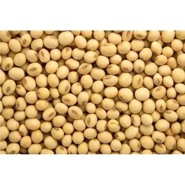 Wholesale Food Grade Quality Soybeans Bulk Sales/High Protein Yellow Soybean Soya Beans For Sale