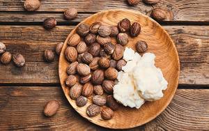 Exportateurs indiens de beurre de karité utilisé pour la douceur de la peau et les fournisseurs en gros hydratants et fabricants de l'Inde du Sud - Product Image 4