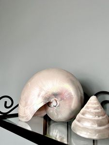 Grande coquille décorative en spirale d'océan ornement d'artisanat naturel matériel marin en gros Vietnam 99 données d'or - Product Image 2