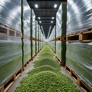 Dried Green <b>Peas</b> for Food Processing and Wholesale Supply - Product Image 1