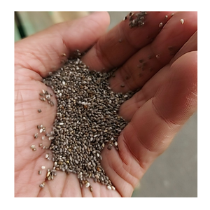 Wholesale Black Chia <b>Seeds</b> Bulk <b>Packaging</b> Available for Exporters and Food Retailers - Product Image 6