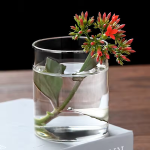 Vidrio recto de borosilicato alto, tanque de peces rosa, dispositivo de arreglos florales, terrario, arte de vidrio, maceta, jarrón, adornos de vidrio - Product Image 6