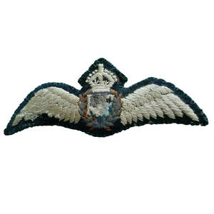 Insignes d'aile les plus vendus sur mesure en stock insignes d'aile les plus populaires insignes d'aile - Product Image 3