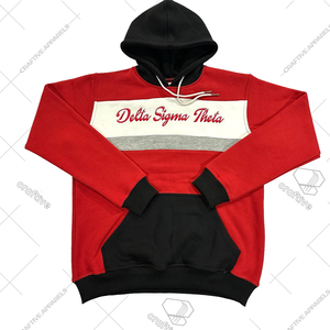 Sudadera con capucha bordada Delta Sigma Theta DST Sorority - Product Image 1