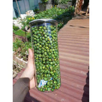 Meilleure vente de pois verts salés de haute qualité Collations fraîches et délicieuses aux légumes Traitement aromatisé Emballé emballé à l'exportation directe