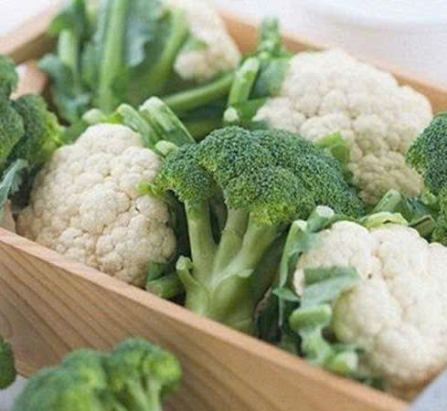 Вкус свежести: Органическая брокколи из Вьетнама, экспортный стандарт