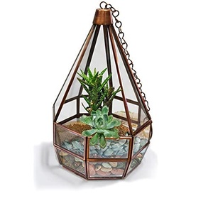 Décoration intérieure Conteneur de fleurs ou de plantes Terrarium en verre et métal Décor de balcon Forme irrégulière Dessus de table Terrarium en verre - Product Image 6