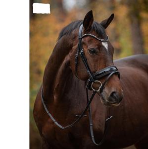 Brida snaffle - Product Image 2