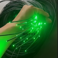 0,75mm-3,0mm Pool Fiber Optic Star Lighting Schwarze PE-Jacke Single Core End Glow Glasfaser kabel für die Pools auna