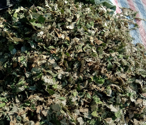 Productos Premium de Vietnam-Hoja de loto seca para perder peso y dormir mejor Producto hecho en Vietnam - Product Image 6