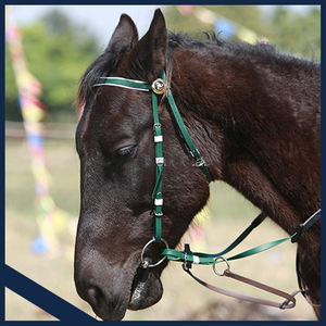 Brida ligera y cómoda para montar a caballo, hecho a medida, su propio diseño, de alta calidad, venta al por mayor - Product Image 3